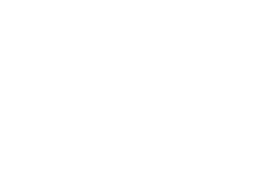 Vector