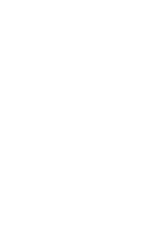 Vector